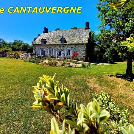 فيلا Gite Cantauvergne Vebret المظهر الخارجي الصورة