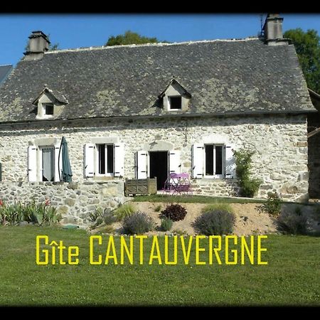 فيلا Gite Cantauvergne Vebret المظهر الخارجي الصورة
