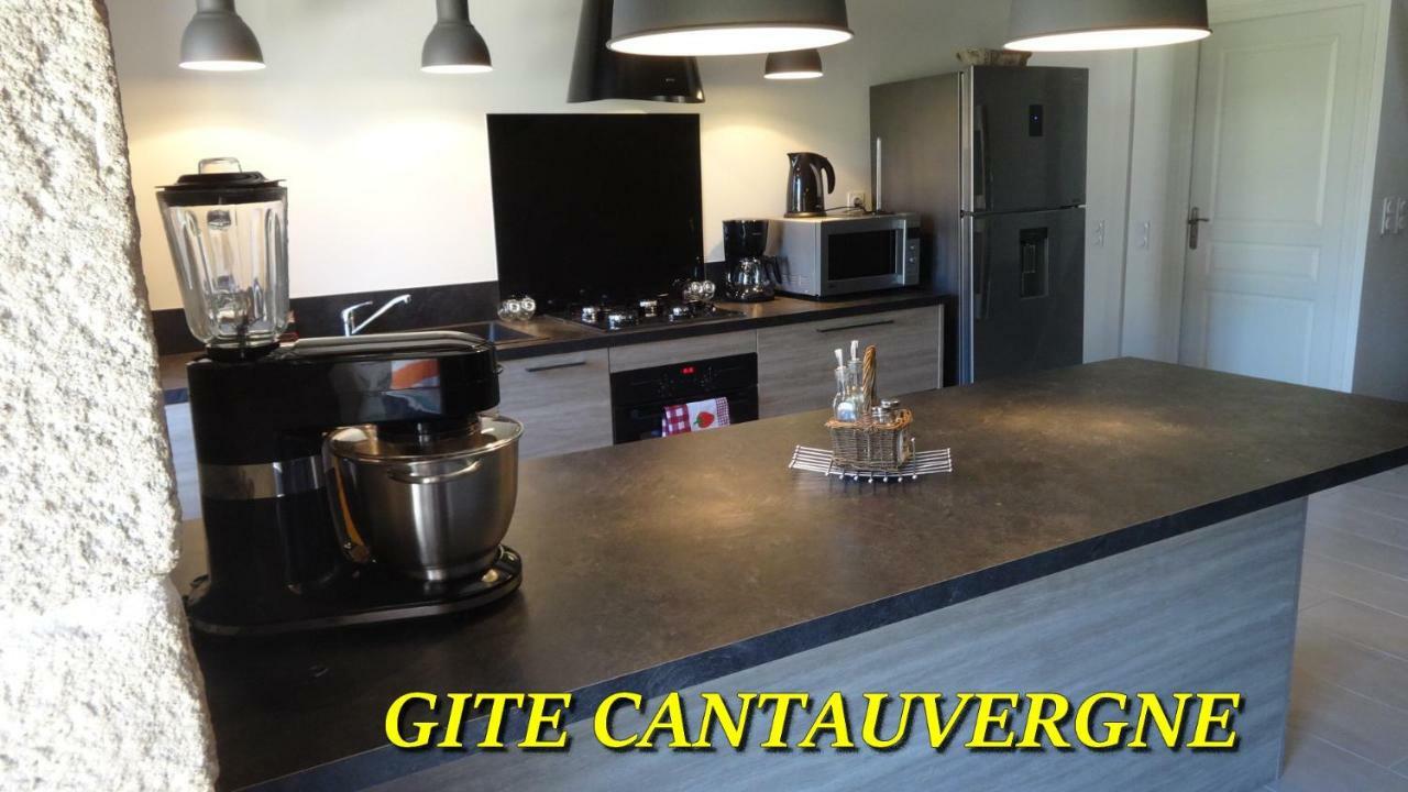 فيلا Gite Cantauvergne Vebret المظهر الخارجي الصورة