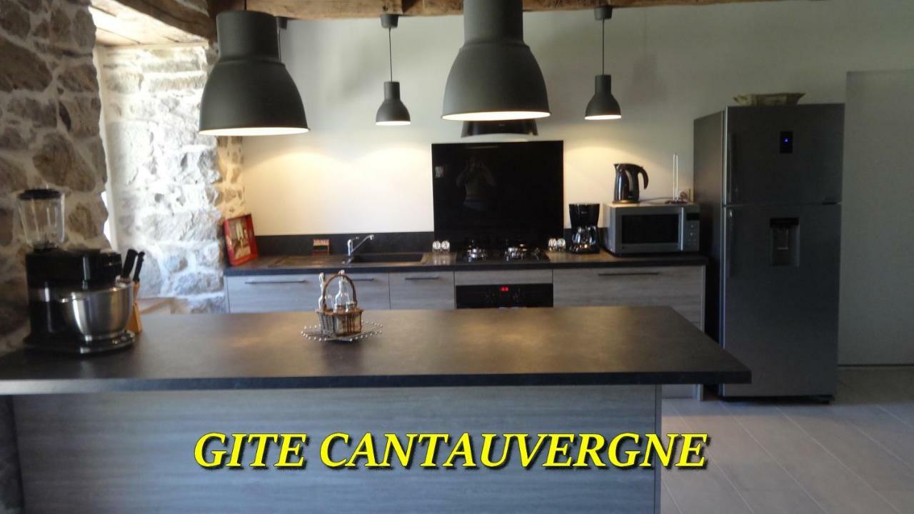 فيلا Gite Cantauvergne Vebret المظهر الخارجي الصورة