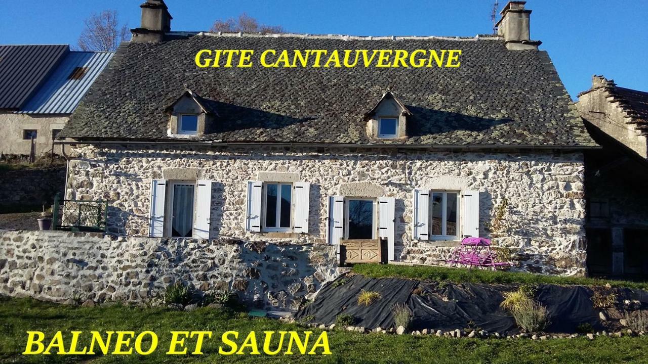 فيلا Gite Cantauvergne Vebret المظهر الخارجي الصورة