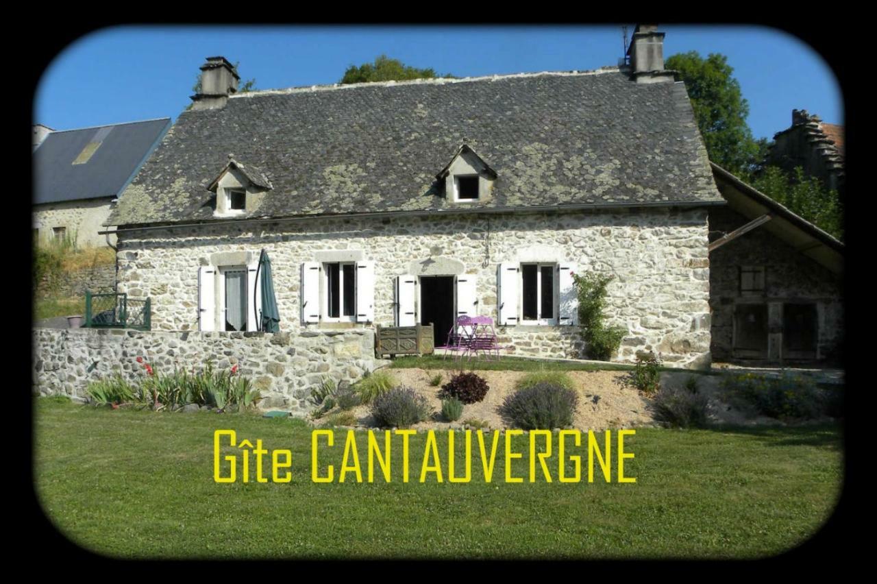 فيلا Gite Cantauvergne Vebret المظهر الخارجي الصورة
