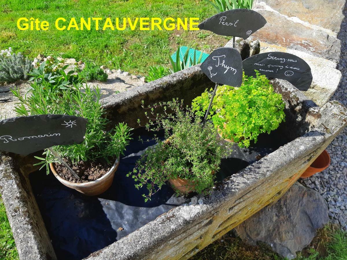فيلا Gite Cantauvergne Vebret المظهر الخارجي الصورة